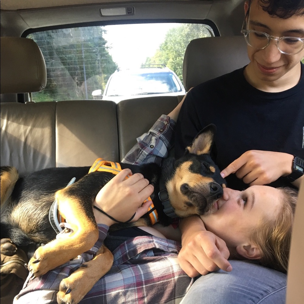 Meet your Posher, Martha